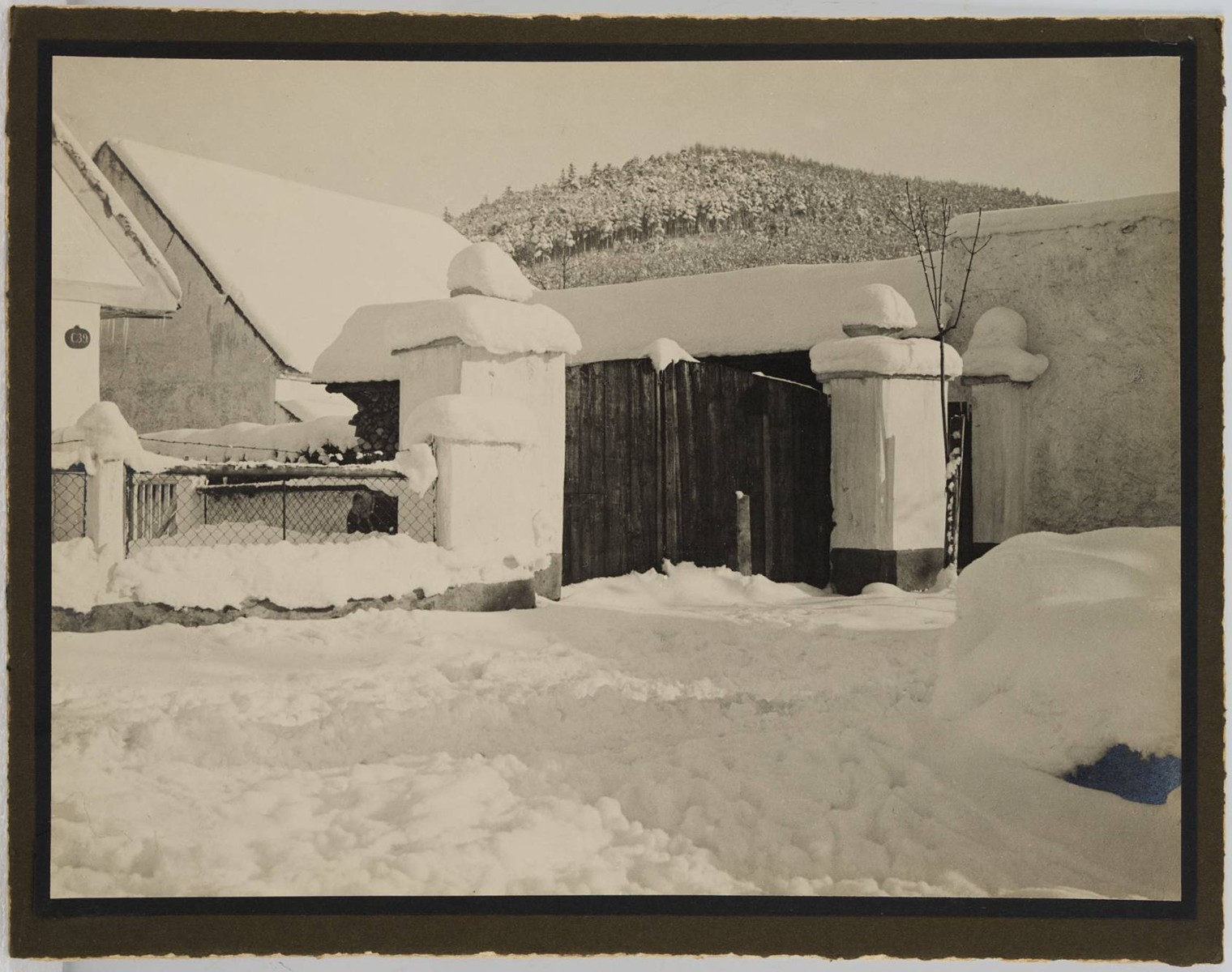Viktor Czejka Bodenbach Paul - DVOJICE ZIMNÍCH FOTOGRAFIÍ