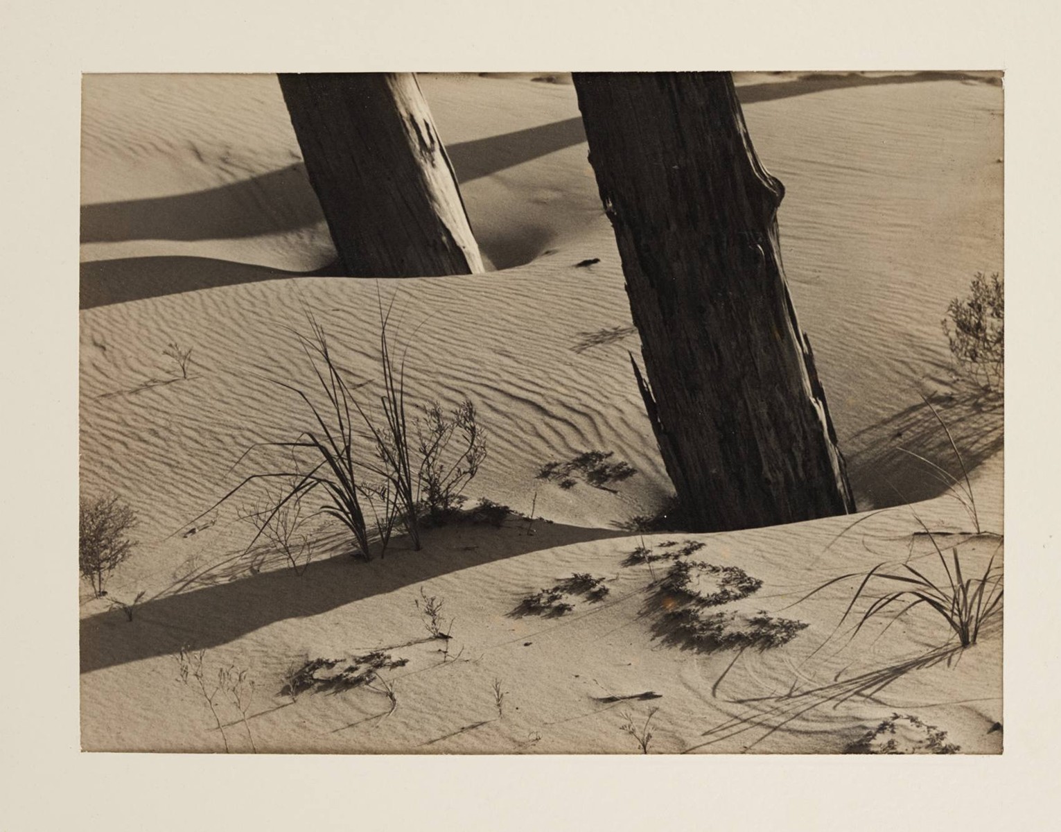 John Henry Johnson - PATY STROMŮ