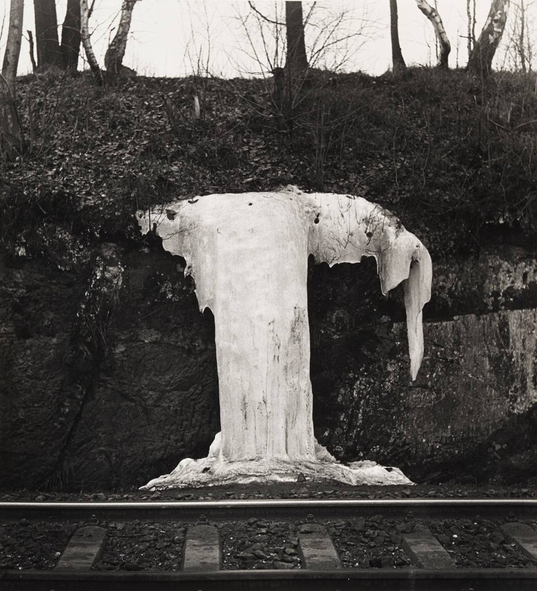 Eva Fuková (1927-2015) - V KYTLICI