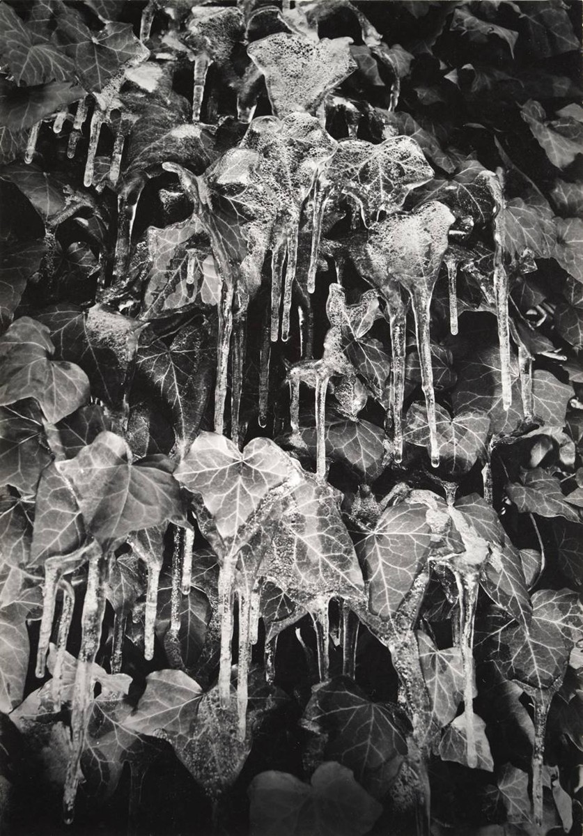 Jan Svoboda (1934-1990) - BŘEČŤAN