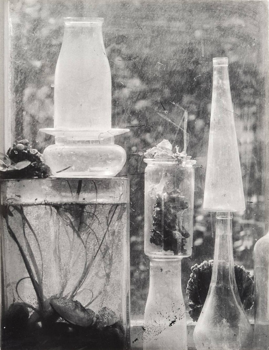 Jan Svoboda (1934-1990) - ZÁTIŠÍ NA OKNĚ