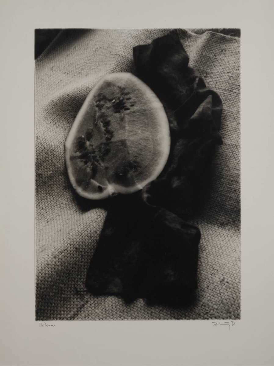 Jiří Foltýn (1951) - MELOUN