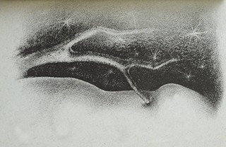 Různí autoři Ludmila Jiřincová (1912-1994) - DVOJICE PUBLIKACÍ S LITOGRAFIEMI LUDMILY JIŘINCOVÉ