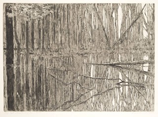 Antonín Odehnal (1931-2017) - SOUBOR LEPTŮ