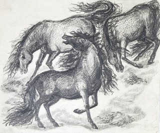 Míla Doleželová (1922-1993) - SOUBOR ČTRNÁCTI KRESEB KE KNIZE ZPÍVAJÍCÍ HOUSLE - CIKÁNSKÉ POHÁDKY