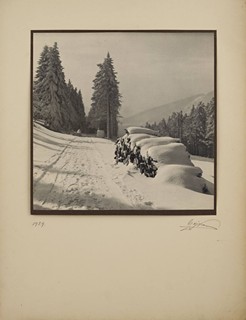 Viktor Czejka Bodenbach Paul - DVOJICE ZIMNÍCH FOTOGRAFIÍ