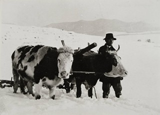 Irena Blühová (1904-1991) - SOUBOR DESETI FOTOGRAFIÍ SE SOCIÁLNÍ TÉMATIKOU