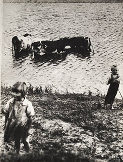 Irena Blühová (1904-1991) - SOUBOR DESETI FOTOGRAFIÍ SE SOCIÁLNÍ TÉMATIKOU