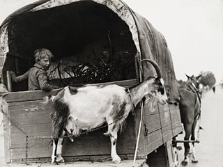 SOUBOR OSMI FOTOGRAFIÍ S VENKOVSKOU TÉMATIKOU