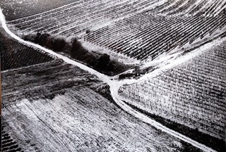 Antonín Gribovský (1933 - 1989) - Krajina