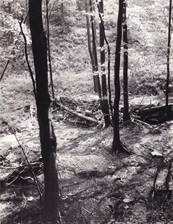 Zdenko Feyfar (1913 - 2001) - Les