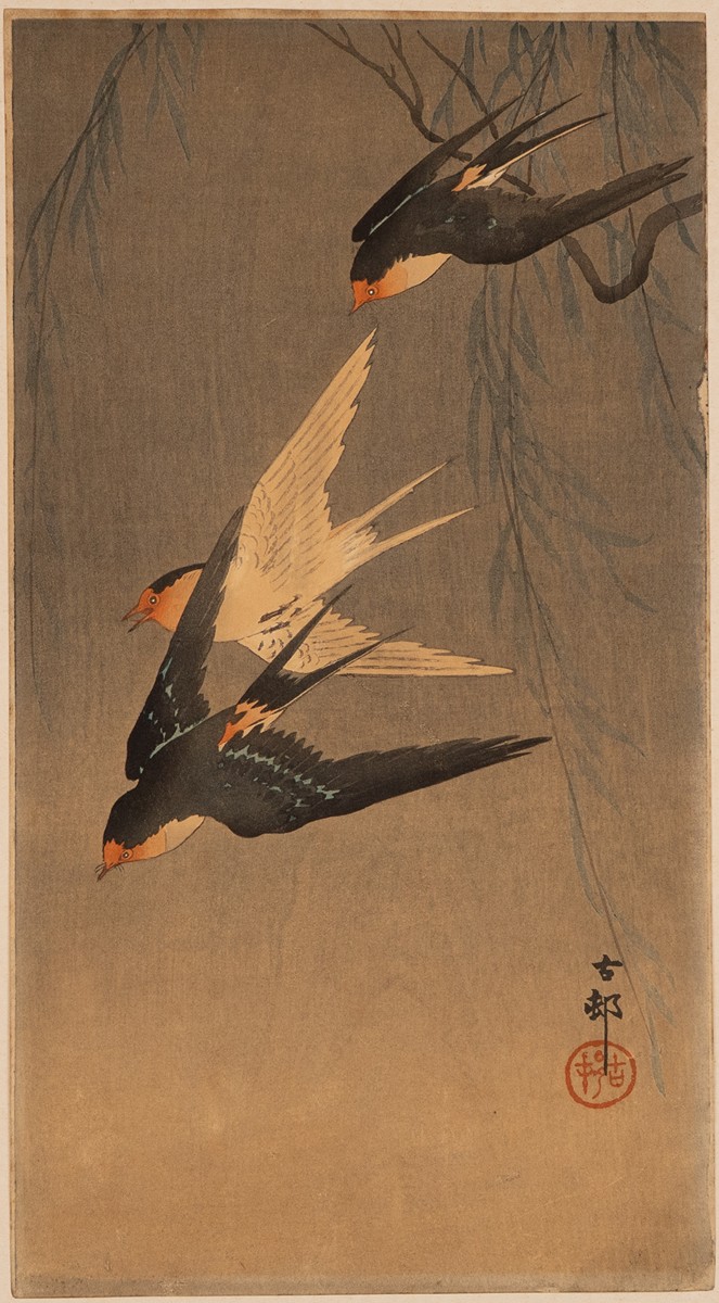 Swallows in flight