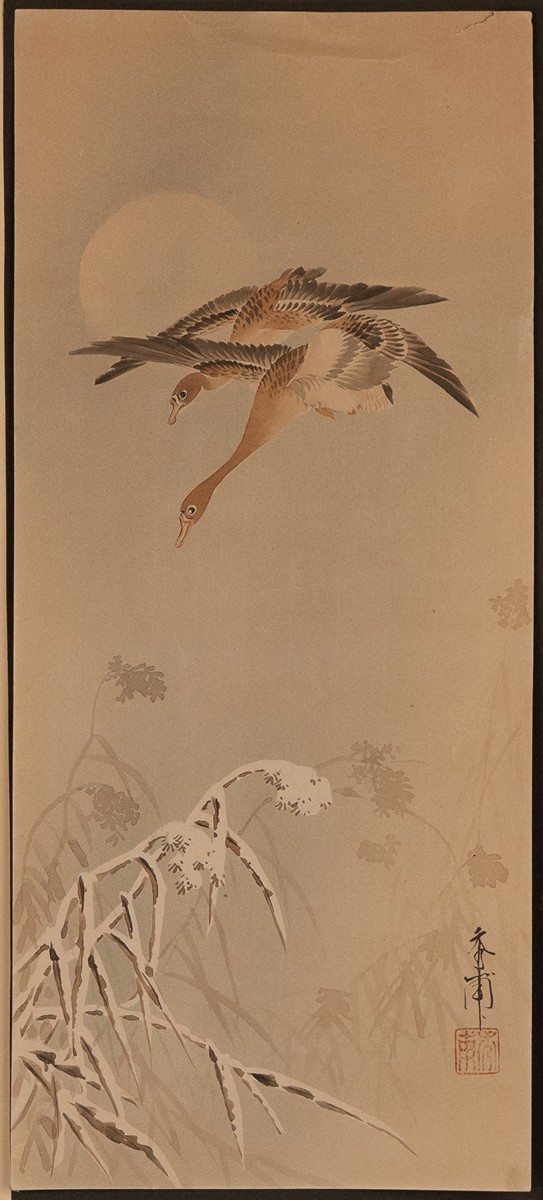 Two Geese Flying over Snow-Covered Reeds