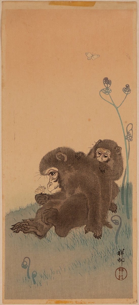 Two Monkeys and Butterflies