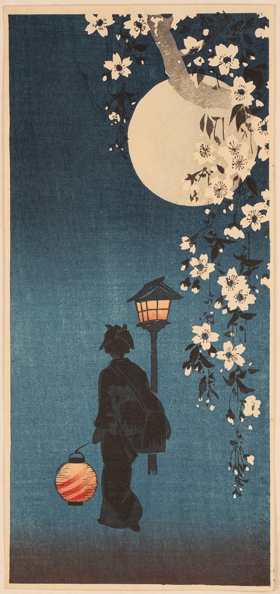 Silhouette under Cherry Blossoms