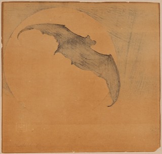 Bat in Moon