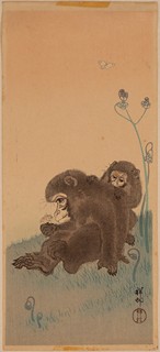 Two Monkeys and Butterflies