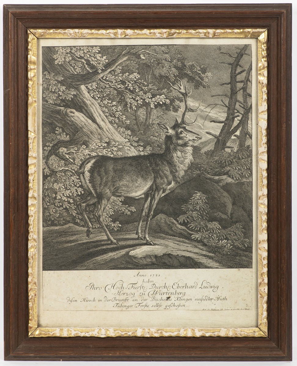 STANDING DEER