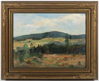 VYSOČINA