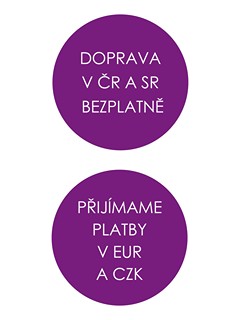 Miroslav Bravenec - U lužického semináře - pohled na Karlův most