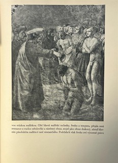 Matějček Antonín - Mistři rané renesance