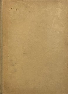Matějček Antonín - Mistři rané renesance