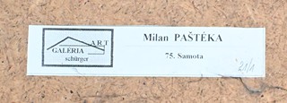 Paštéka Milan - Mužské torzo