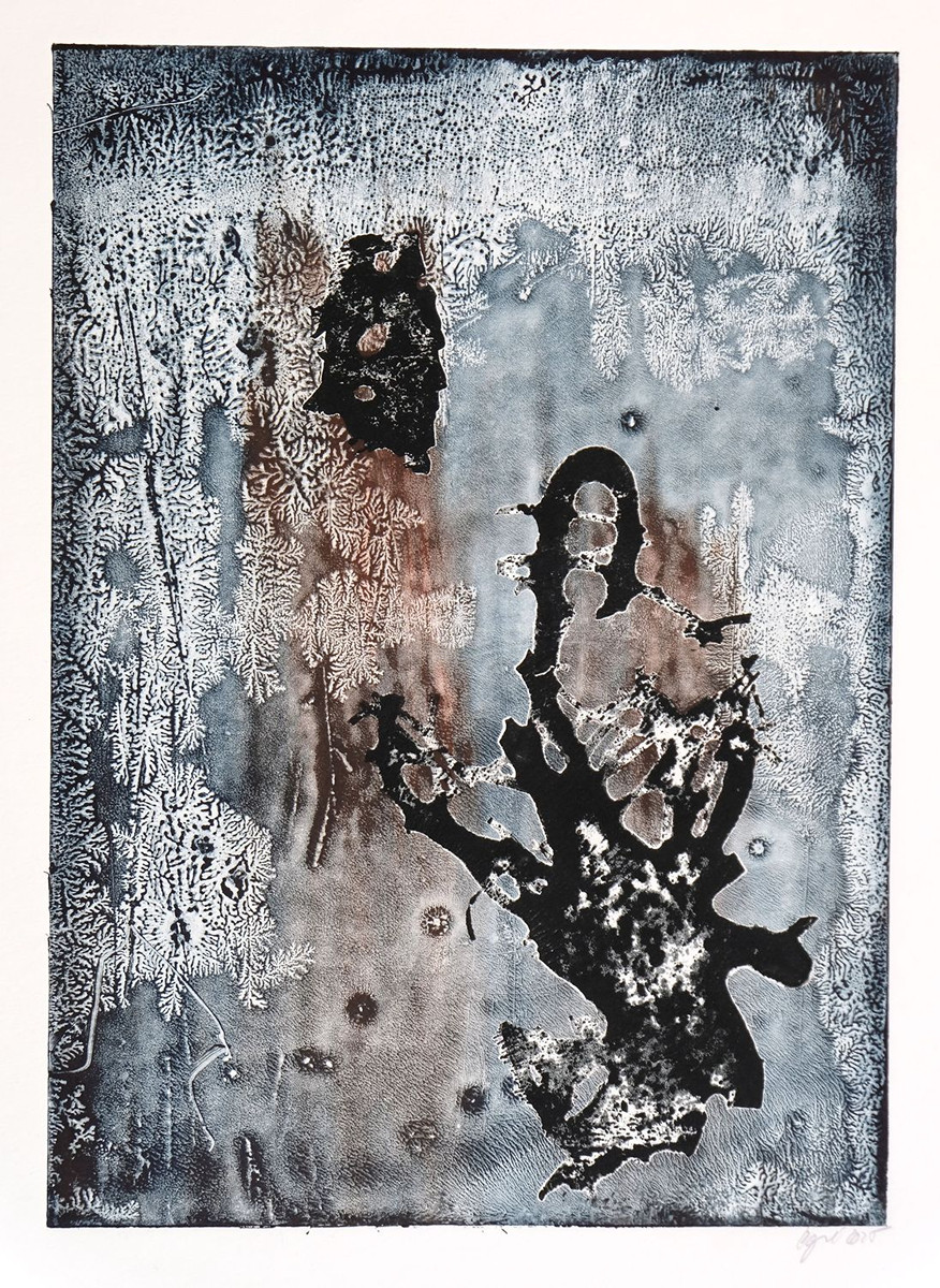 Eva Čapková (1979) - Z cyklu Zahrady