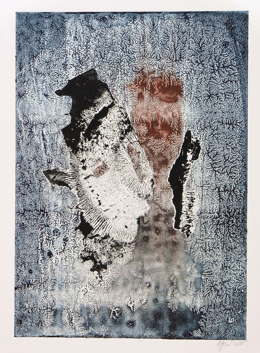 Eva Čapková (1979) - Z cyklu Zahrady