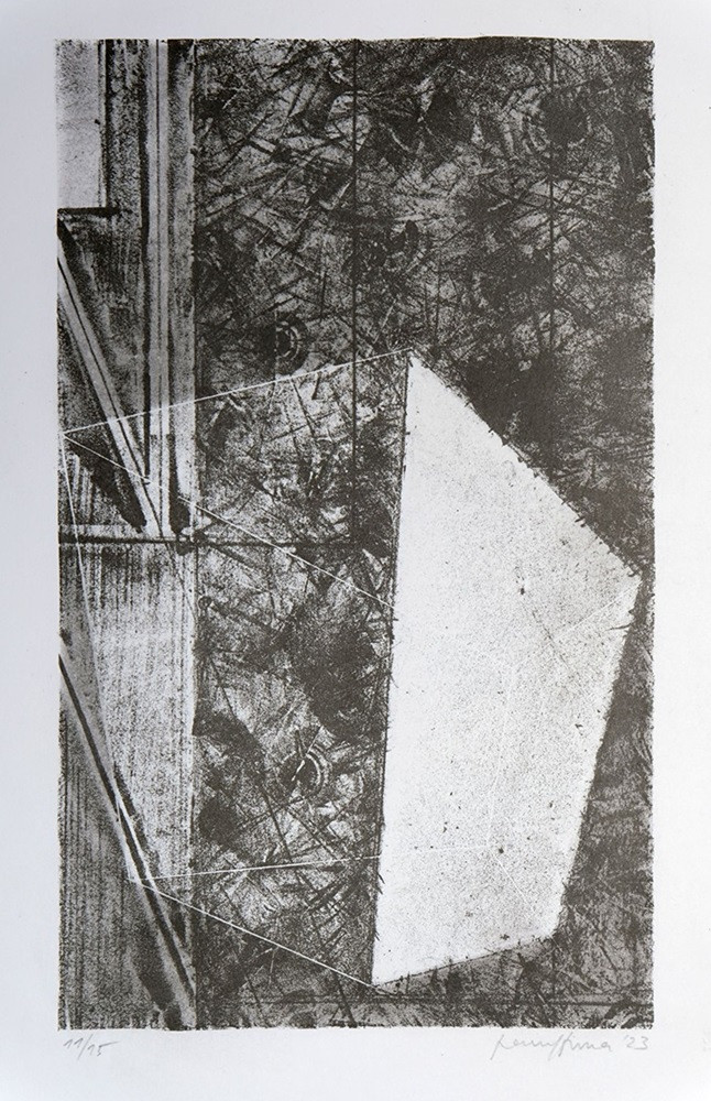 Pavel Hora (1968) - Clona I