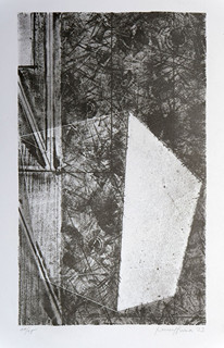 Pavel Hora (1968) -  Clona I