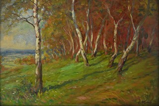 Oldřich Vlach - V březovém háji
