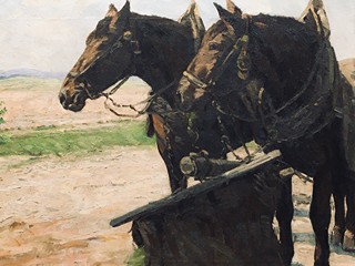 Vojtěch Hynek Popelka - Koně