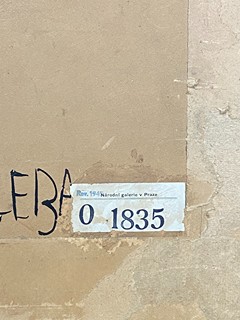 Vratislav Nechleba - Portrét mladé dámy