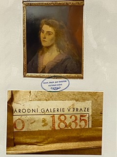Vratislav Nechleba - Portrét mladé dámy