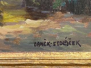 Daněk Sedláček - Sluneční paprsky v lese