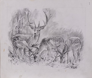 Aleša Vaic (1920-) - Daňci