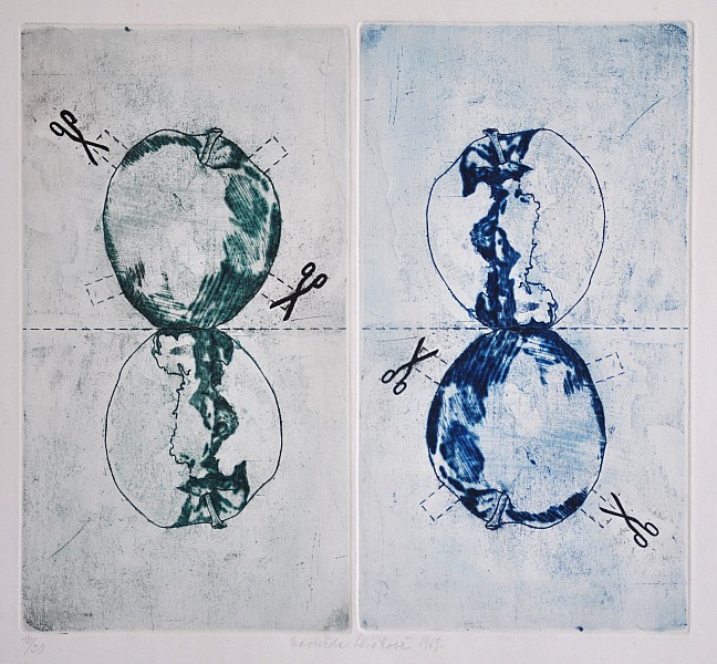 Naděžda Plíšková