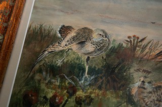 Partridges