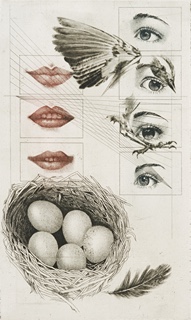 Daniela Havlíčková (1946 - 1999) - UNTITLED, ALBUM 76