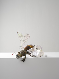 Adam Žufníček (1999) - BEE