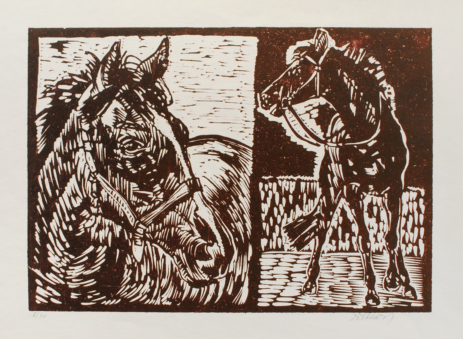 Dalibor Říhánek 1946 - Hřebec