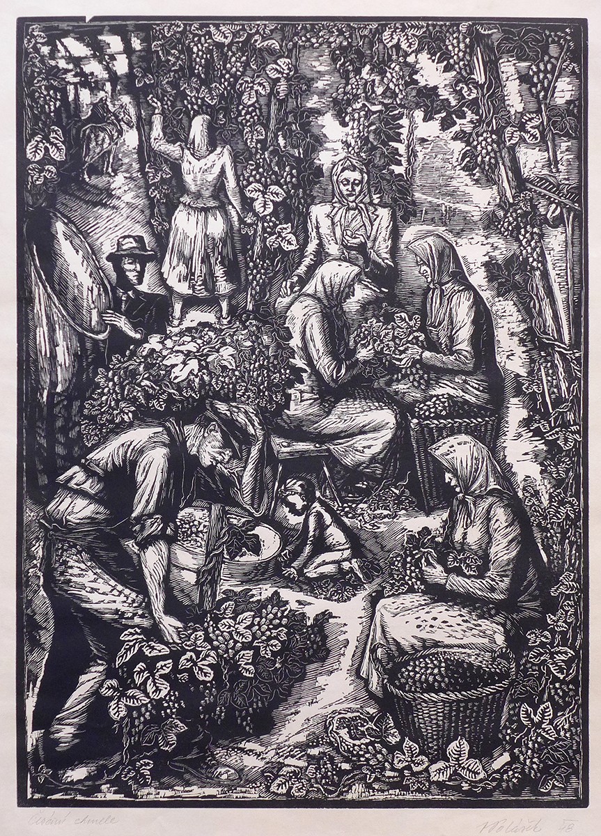 Viktor Polášek 1911 - 1989 - Česání chmele