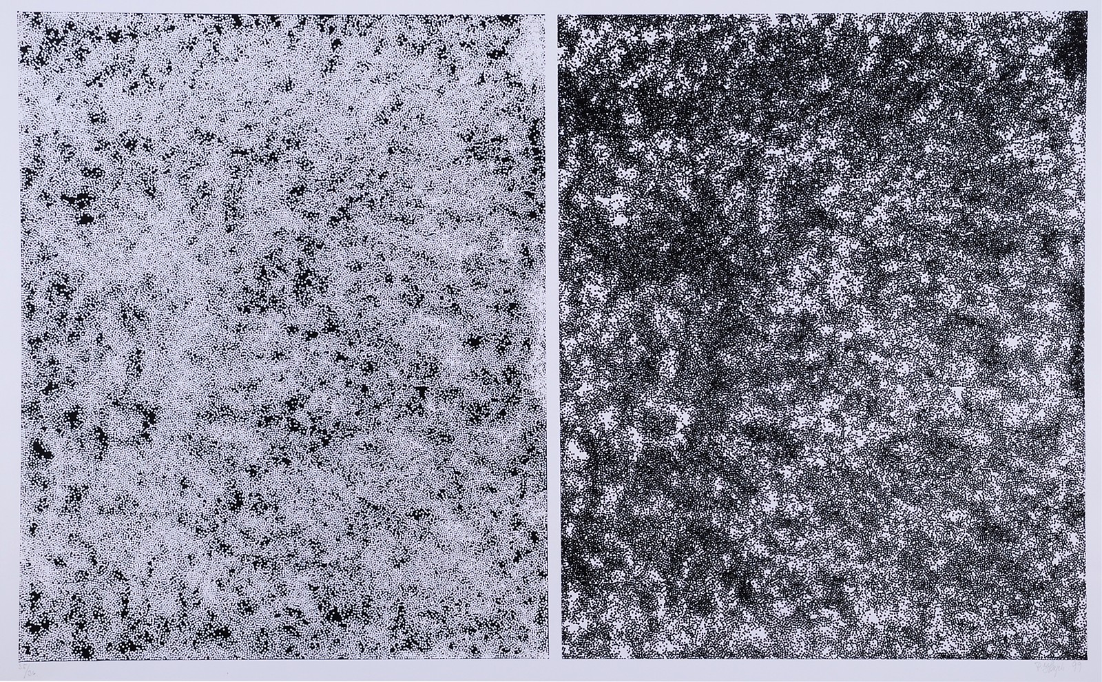 Pavel Hayek 1959 - Hořčičná semena - diptych