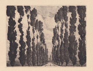 Jan Honsa 1876 - 1937 - Topolová alej