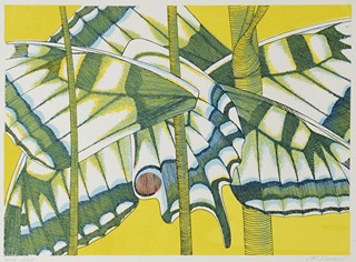 Vladislav Bauer 1928 - Papilio machaon