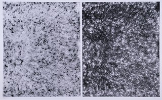 Pavel Hayek 1959 - Hořčičná semena - diptych