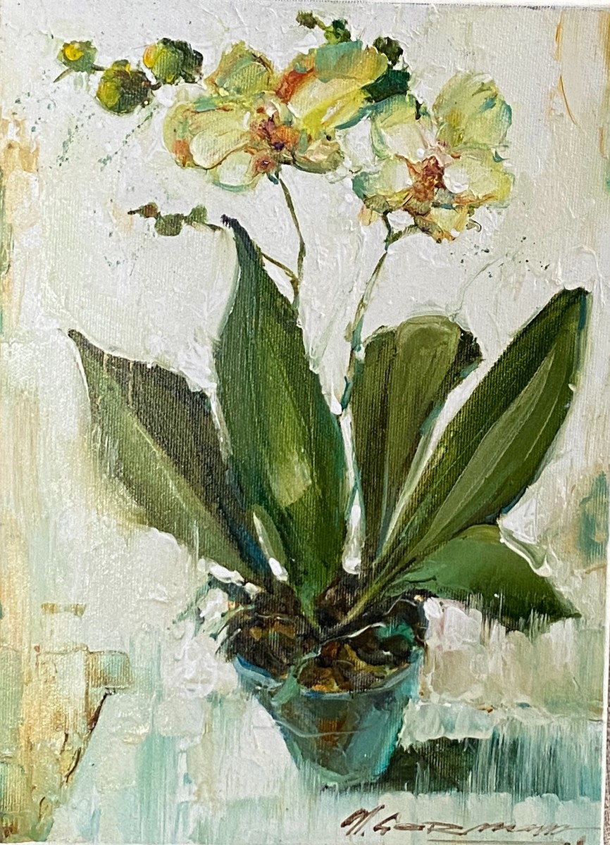 German Medvetsky (1967) - Orchids