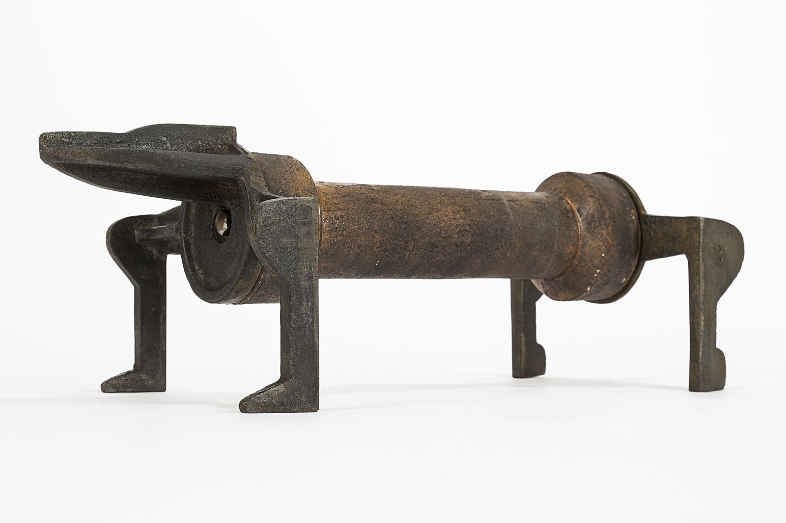 Dachshund