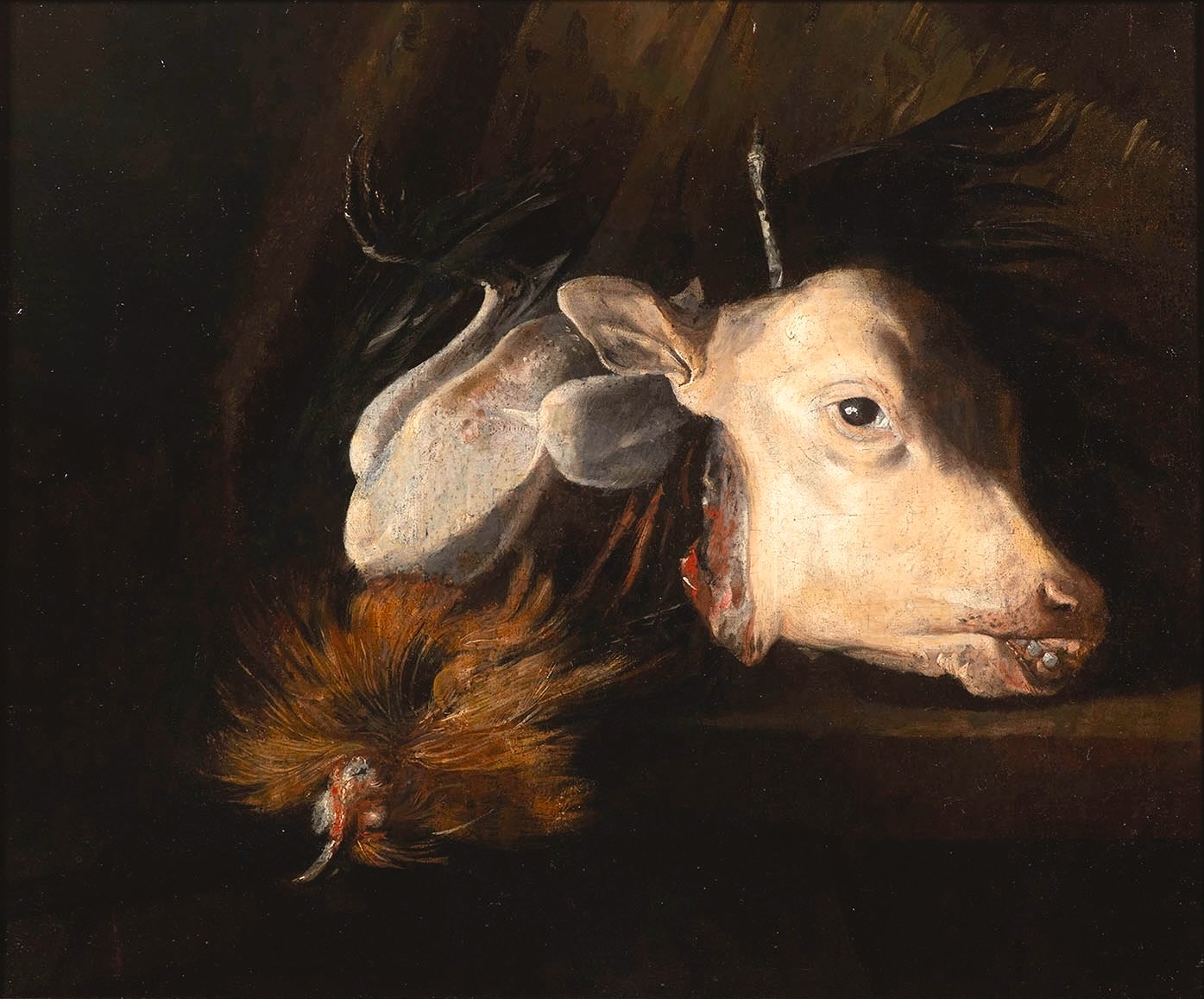 Felice Boselli (1650-1732) - Still Life with a Calf's Head